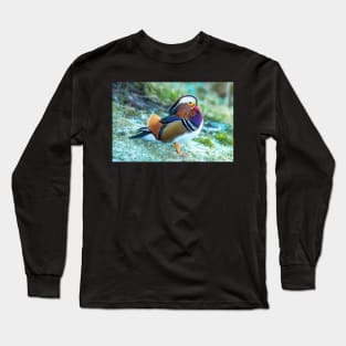 Male Mandarin duck in the UK Long Sleeve T-Shirt